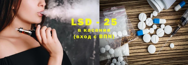сатива Новозыбков