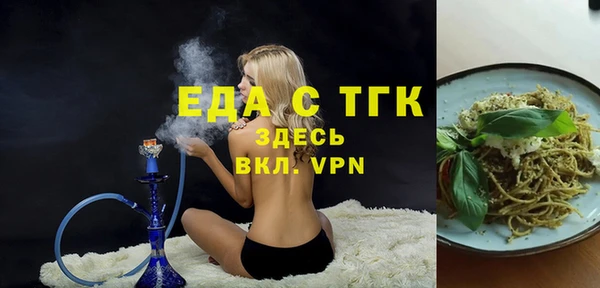 сатива Новозыбков