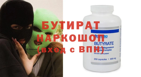 сатива Новозыбков