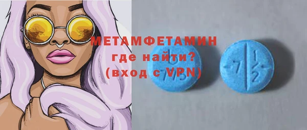 сатива Новозыбков