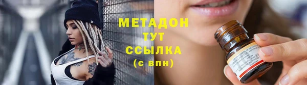 сатива Новозыбков