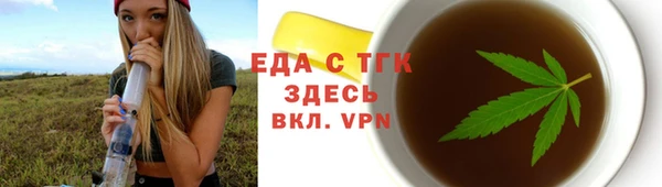 сатива Новозыбков