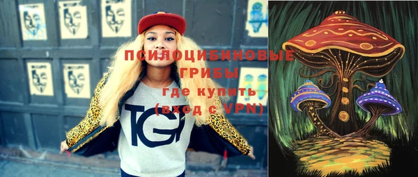 тгк Новодвинск