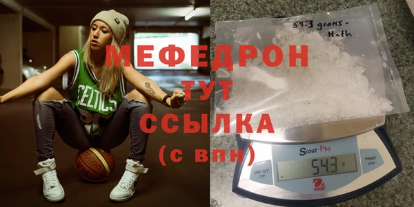 сатива Новозыбков