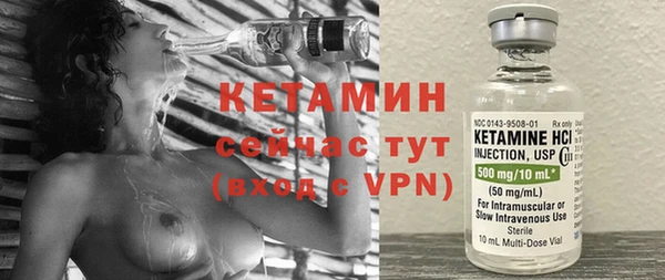 сатива Новозыбков
