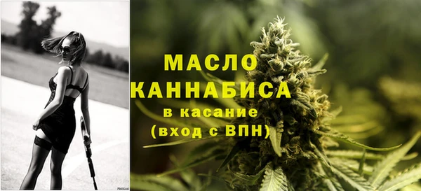 тгк Новодвинск